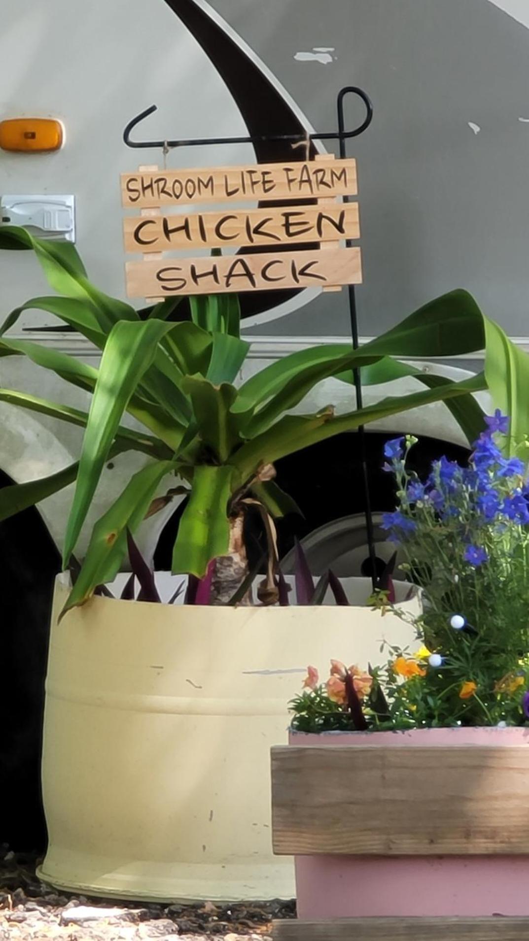 Shroom Life Farm Chicken Shack North Fort Myers Zewnętrze zdjęcie