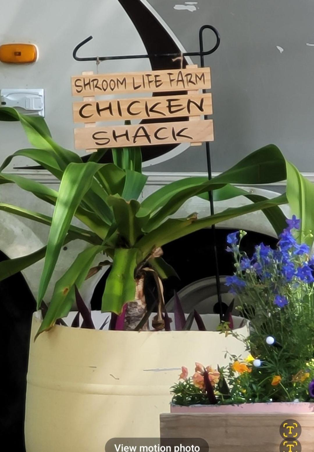 Shroom Life Farm Chicken Shack North Fort Myers Zewnętrze zdjęcie
